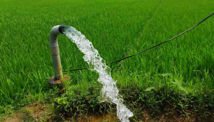 বোরো আবাদে ভূগর্ভস্থ পানিস্তরের অবনমন হয় না : গবেষণা