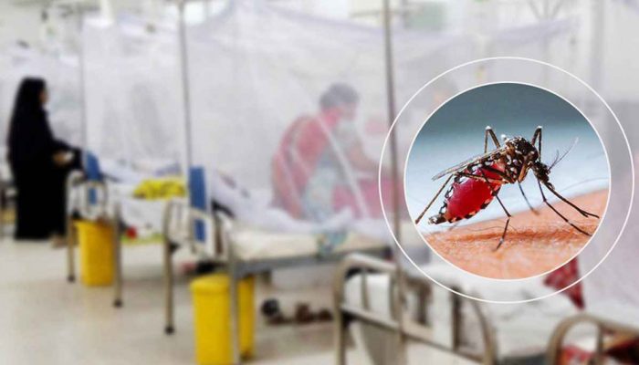 দেড় মাস পর ডেঙ্গুতে আবারও মৃত্যু, ২৪ ঘণ্টায় আক্রান্ত ১০