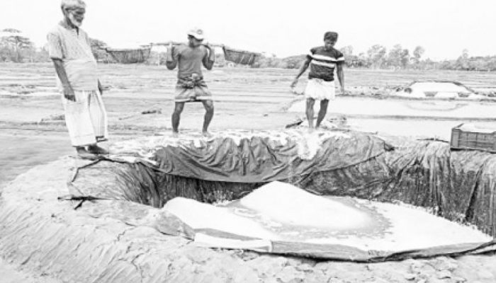 লবণের দামে রেকর্ড পতন: উৎপাদন খরচ ৮ টাকা, বিক্রি মাত্র ৩ টাকায়