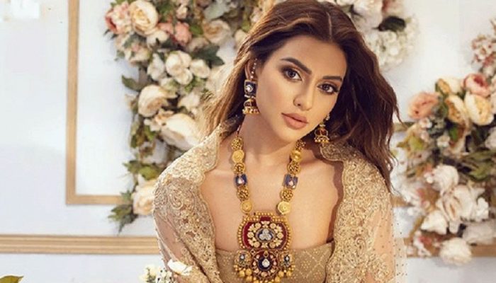 নায়িকা নুসরাত ফারিয়ার জামিন মঞ্জুর