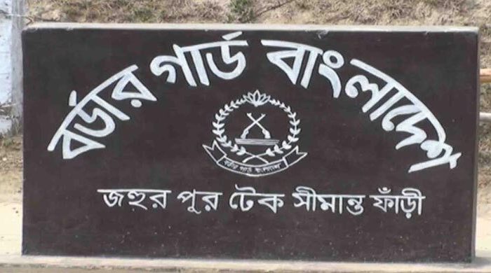 ভুল করে ভারতে