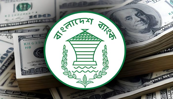৩৫ কোটি ডলার কিনল বাংলাদেশ ব্যাংক