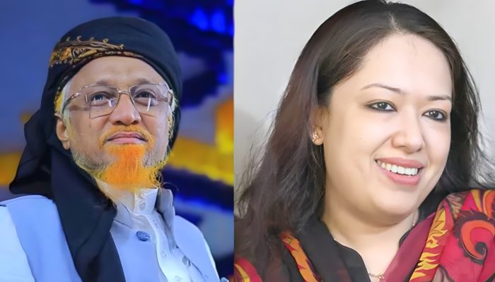 জমিয়তকে আসন ছাড়ল বিএনপি, স্বতন্ত্র প্রার্থী রুমিন ফারহানা