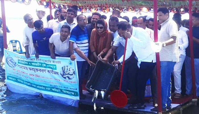 কটিয়াদীর হাওরে মাছের পোনা অবমুক্ত
